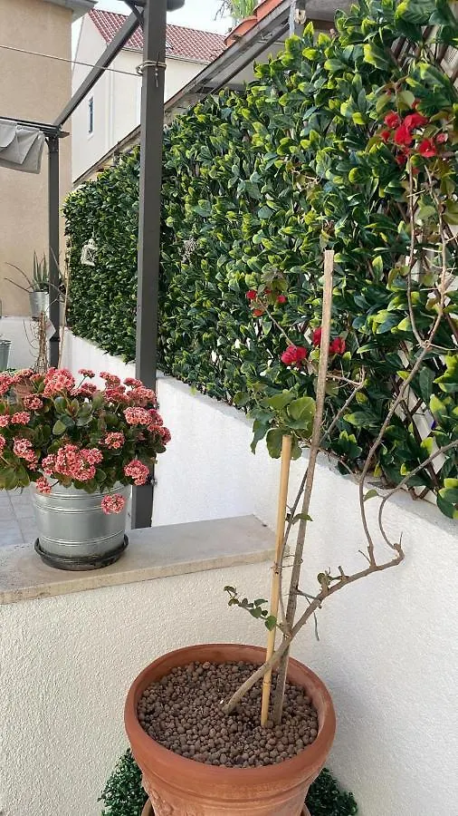 True Colors Apartments Spalato Croazia